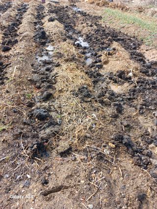 강성흔목사 님의 자유주제 · 자유게시판 작성글 사진