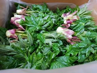 채대영님의 자유주제 · 자유게시판 작성글 사진