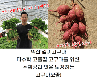김동수님의 자유주제 · 자유게시판 작성글 사진