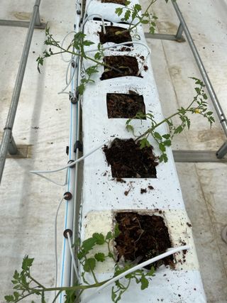 니나님의 자유주제 · 자유게시판 작성글 사진