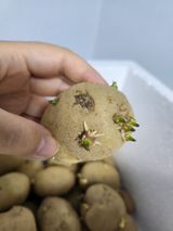 팜모닝 농사, 무엇이든 물어보세요!·참여글 게시글 이미지