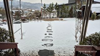 달맛햇복숭아농원님의 자유주제 · 자유게시판 작성글 사진