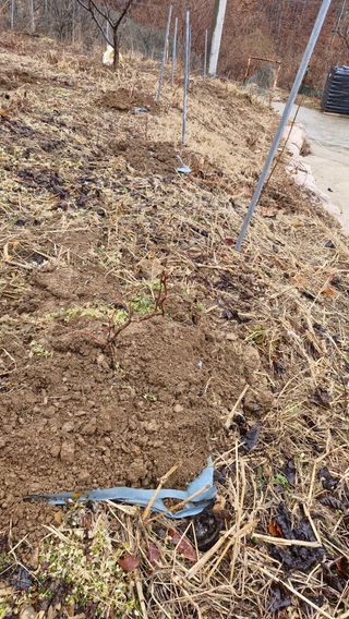 정석구님의 자유주제 · 자유게시판 작성글 사진