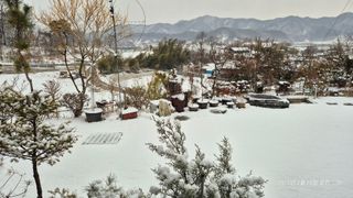 달맛햇복숭아농원님의 자유주제 · 자유게시판 작성글 사진