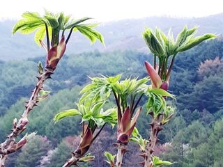 채대영님의 자유주제 · 자유게시판 작성글 사진