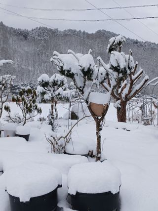 자두6480님의 자유주제 · 자유게시판 작성글 사진