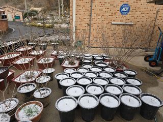 정광일님의 자유주제 · 자유게시판 작성글 사진