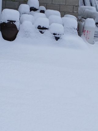 자두6480님의 자유주제 · 자유게시판 작성글 사진