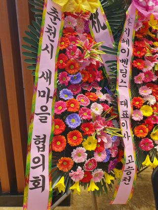 안비님의 자유주제 · 자유게시판 작성글 사진