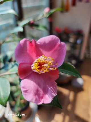 권지연.옥천.님의 자유주제 · 자유게시판 작성글 사진