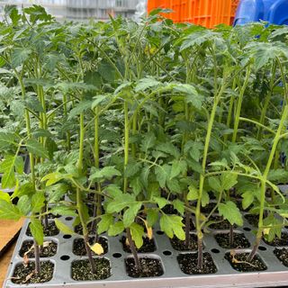 니나님의 자유주제 · 자유게시판 작성글 사진