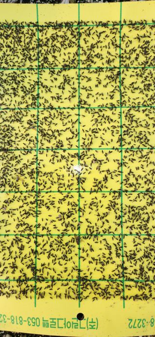 하은와송~♡♡♡~님의 자유주제 · 자유게시판 작성글 사진