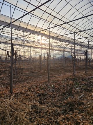 스마트라이프님의 팜모닝 토론방 · 주제제안 작성글 사진