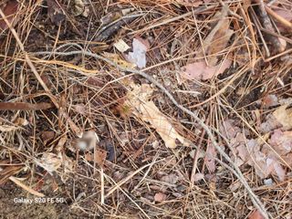 박위병님의 자유주제 · 자유게시판 작성글 사진