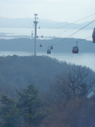 안비님의 자유주제 · 자유게시판 작성글 사진