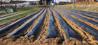 하은와송~♡♡♡~님의 자유주제 · 자유게시판 작성글 사진