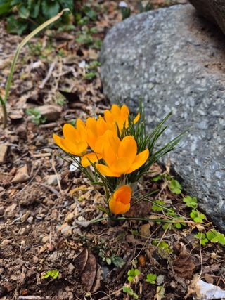 포도20268님의 자유주제 · 사진전 작성글 사진