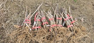 채대영님의 자유주제 · 자유게시판 작성글 사진