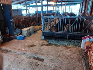 알 수 없음님의 자유주제 · 자유게시판 작성글 사진