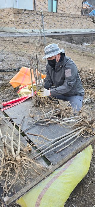 채대영님의 자유주제 · 자유게시판 작성글 사진