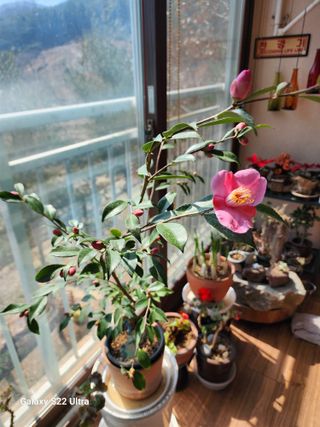 권지연.옥천.님의 자유주제 · 자유게시판 작성글 사진