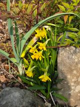 팜모닝 자유주제·사진전 게시글 이미지