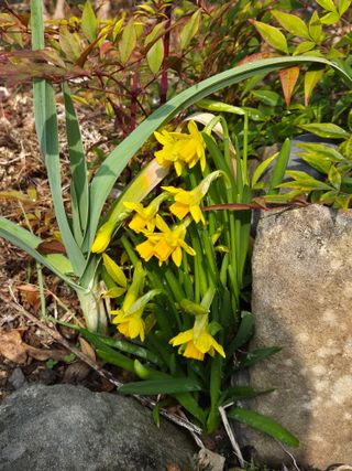 포도20268님의 자유주제 · 사진전 작성글 사진