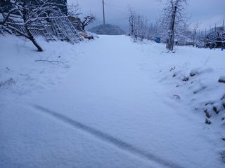 알 수 없음님의 자유주제 · 자유게시판 작성글 사진