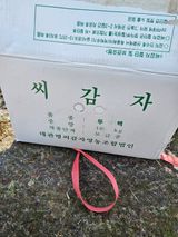 팜모닝 감자심기 하셨나요?·참여글 게시글 이미지