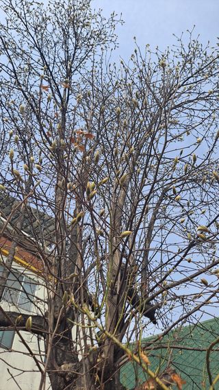 MSG0074님의 자유주제 · 자유게시판 작성글 사진