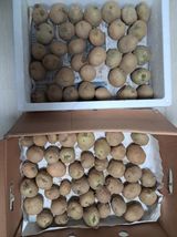 팜모닝 농사, 무엇이든 물어보세요!·참여글 게시글 이미지