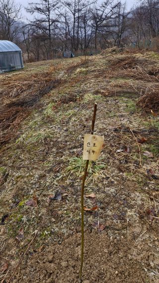 정석구님의 자유주제 · 자유게시판 작성글 사진