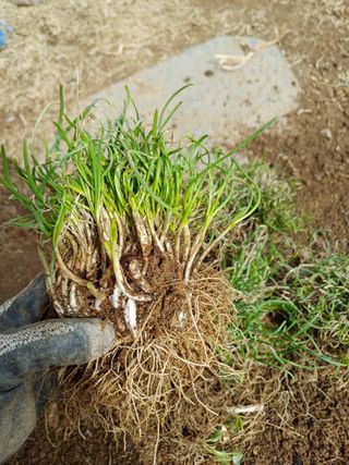 삼성농산님의 자유주제 · 자유게시판 작성글 사진