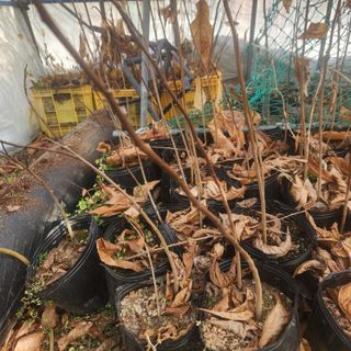 파란농원님의 자유주제 · 자유게시판 작성글 사진