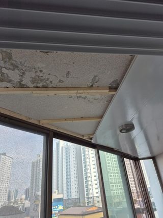 허굴산농장님의 자유주제 · 자유게시판 작성글 사진