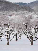 팜모닝 자유주제·자유게시판 게시글 이미지