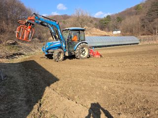 박천규 님의 고추 모종 심으셨나요? · 참여글 작성글 사진