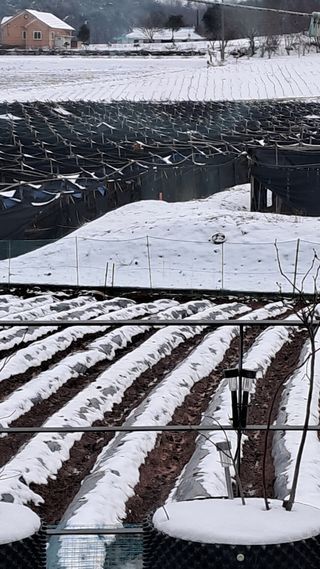 bpjh9173님의 자유주제 · 자유게시판 작성글 사진