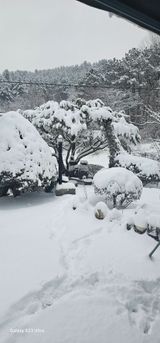 팜모닝 자유주제·자유게시판 게시글 이미지