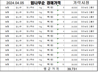 채대영님의 자유주제 · 자유게시판 작성글 사진