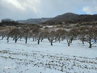 손윤영/수채화농원님의 자유주제 · 자유게시판 작성글 사진