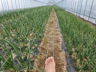 아침못자연농원님의 자유주제 · 자유게시판 작성글 사진