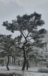 팜모닝 자유주제·자유게시판 게시글 이미지