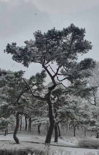 한밭농원님의 자유주제 · 자유게시판 작성글 사진