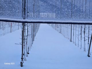 손윤영/수채화농원님의 자유주제 · 자유게시판 작성글 사진