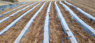 한성님의 자유주제 · 자유게시판 작성글 사진