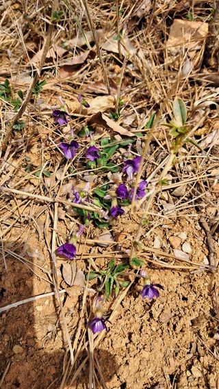 bpjh9173님의 자유주제 · 자유게시판 작성글 사진