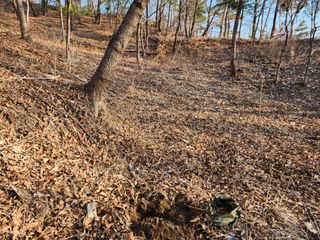 산약초농원님의 자유주제 · 자유게시판 작성글 사진