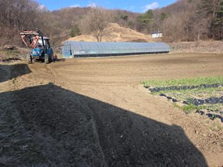 박천규 님의 고추 모종 심으셨나요? · 참여글 작성글 사진