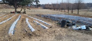 한성님의 자유주제 · 자유게시판 작성글 사진